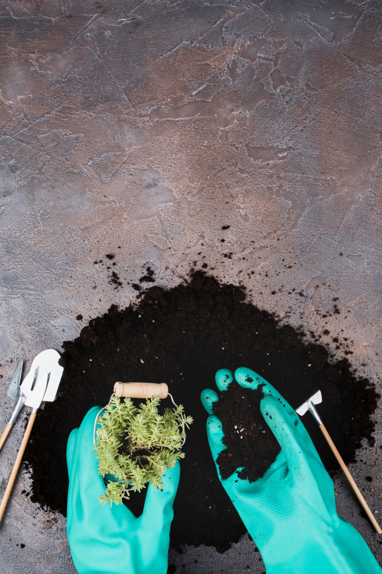 Microbial consortia, laboratory characterization